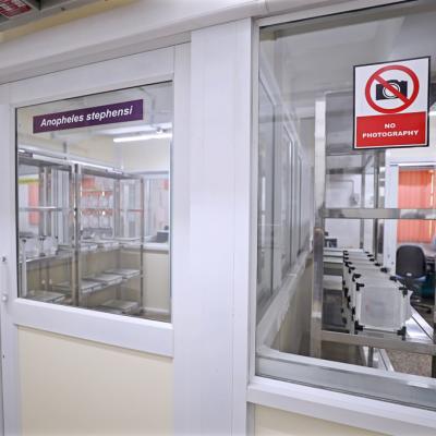 Insectary Facilities