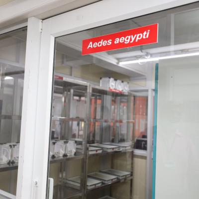 Insectary  Facilities