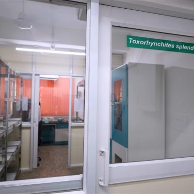 Insectary  Facilities