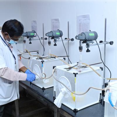 Insectary Facilities