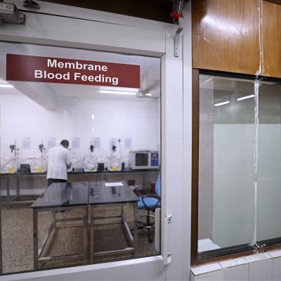 Insectary  Facilities