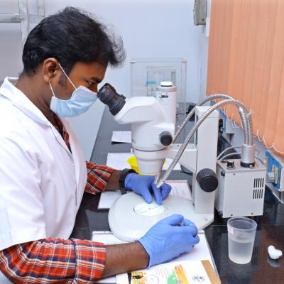 Insectary Facilities