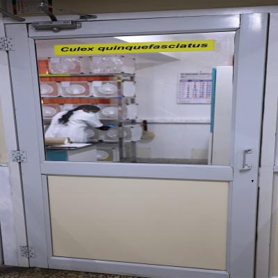 Insectary  Facilities