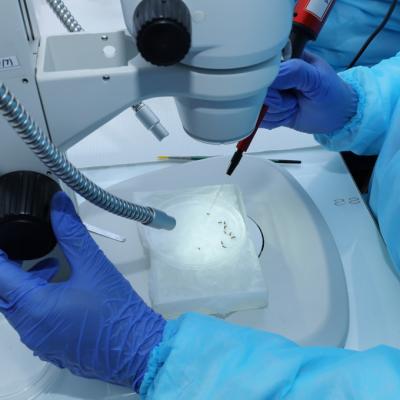 Insectary Facilities