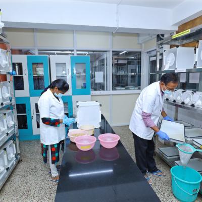 Insectary Facilities