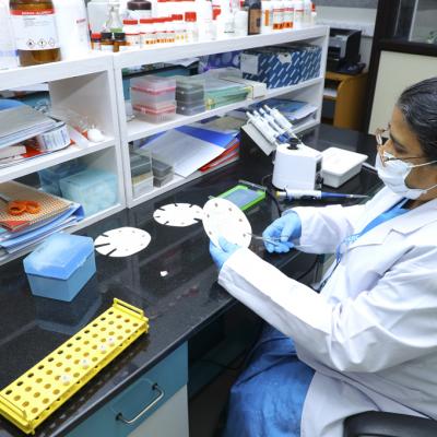 Mosquito Blood Meal Identification Facilities