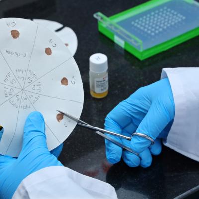 Mosquito Blood Meal Identification Facilities