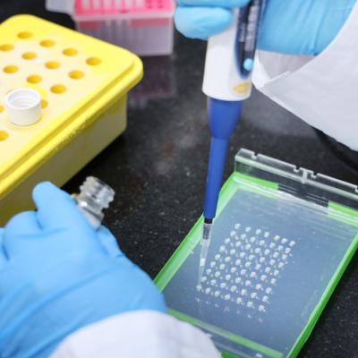 Mosquito Blood Meal Identification Facilities