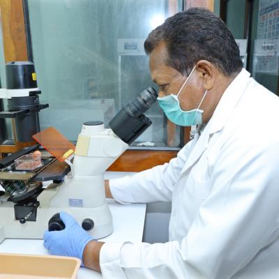 Cell And Tissue Culture Facilities