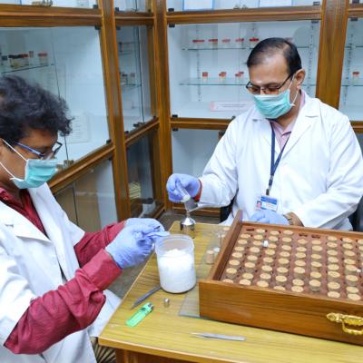 Mosquito Museum Facilities