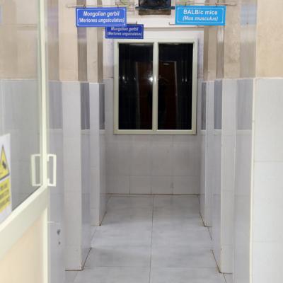 Animal House Facilities