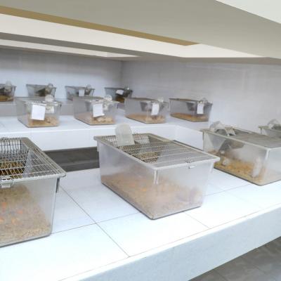 Animal House Facilities