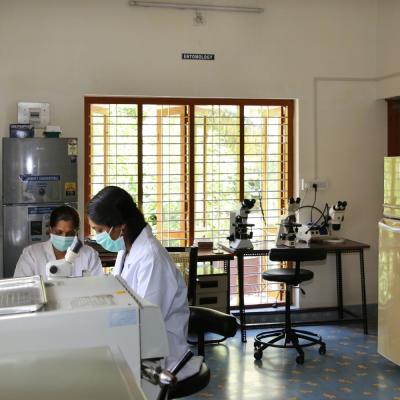 Kottayam Photo Gallery