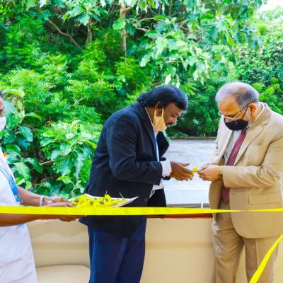 Independence Day 2020