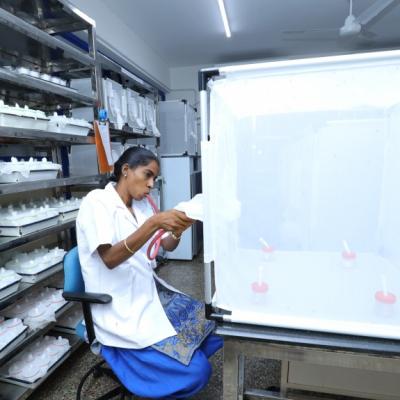 Vector Biology & Control Division