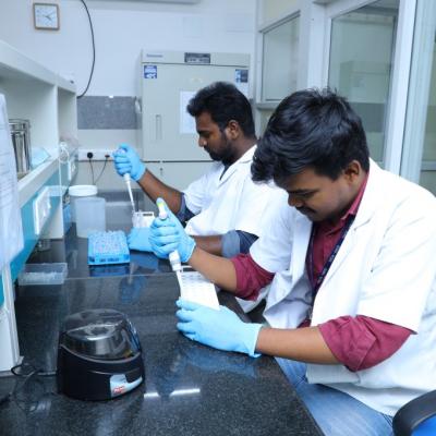 Vector Biology & Control Division