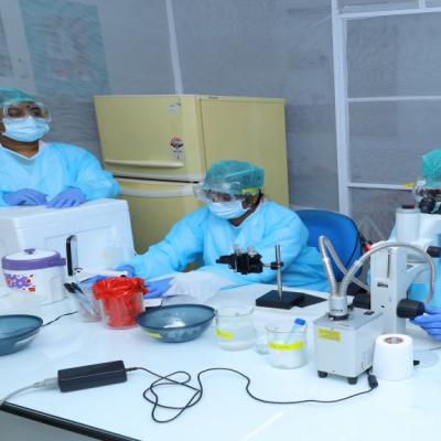 Vector Biology & Control Division